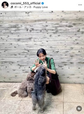 Cocomiさんのインスタグラム（＠cocomi_553_official）より