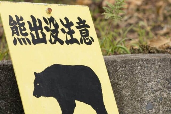 クマ被害が相次ぐ（写真はイメージ）