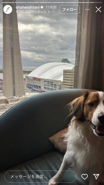 大谷翔平選手のインスタグラム（＠shoheiohtani）より