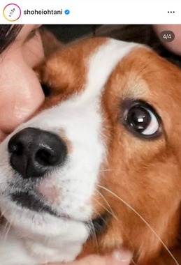 大谷翔平選手のインスタグラム（＠shoheiohtani）より