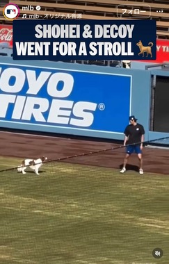 MLBの公式インスタグラム（＠mlb）より