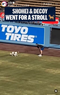 MLBの公式インスタグラム（＠mlb）より