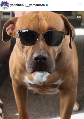 山本由伸投手のインスタグラム（＠yoshinobu__yamamoto）より