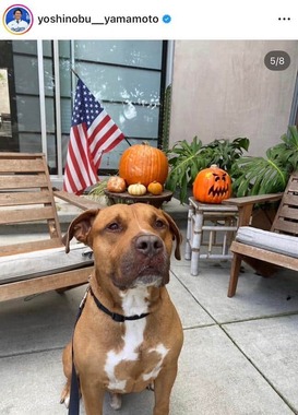 山本由伸投手のインスタグラム（＠yoshinobu__yamamoto）より