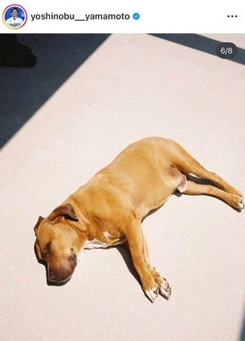 山本由伸投手のインスタグラム（＠yoshinobu__yamamoto）より