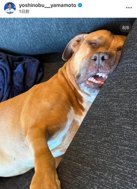 山本由伸投手のインスタグラム（＠yoshinobu__yamamoto）より