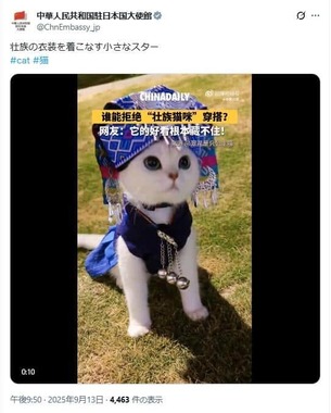 9月15日には「猫動画」。猫の投稿は2か月半ぶりだ
