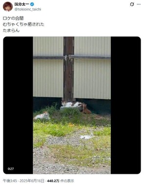 国分太一氏のX（＠tokioinc_taichi）より