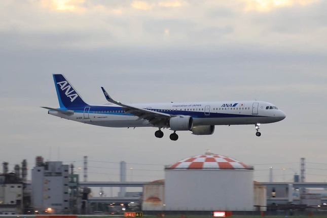 ANAのエアバスA321型機。太陽フレアの活発化による影響を受けた