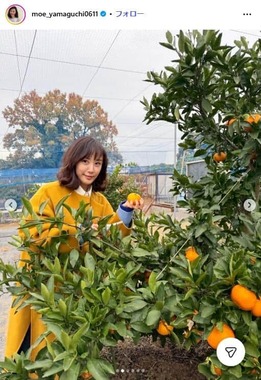 山口もえさんのインスタグラム（@moe_yamaguchi0611）より