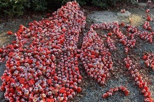 【大阪・勝尾寺】「ダルマの台湾島」参拝者破壊でSNS波紋　中国人か？台湾紙指摘...寺に聞いた境内の状況