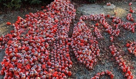 【大阪・勝尾寺】「ダルマの台湾島」参拝者破壊でSNS波紋　中国人か？台湾紙指摘...寺に聞いた境内の状況