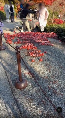 ダルマのメッセージが崩される様子。写真提供：Threadsユーザー（＠cwsocool_）さん、編集部で一部加工