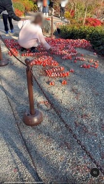 ダルマのメッセージが崩される様子。写真提供：Threadsユーザー（＠cwsocool_）さん、編集部で一部加工