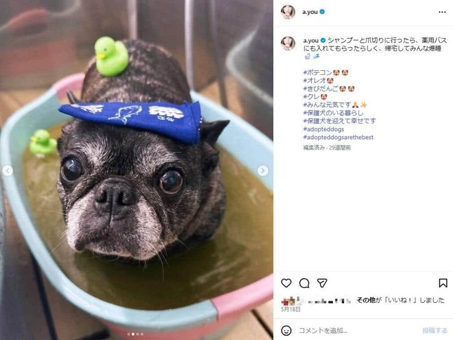 浜崎あゆみさんのインスタグラム（＠a.you）より