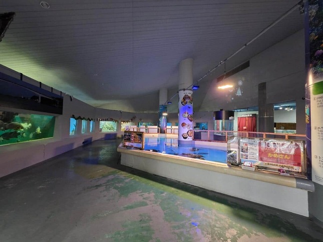 クリスマス・イブの朝の桂浜水族館（同館提供）