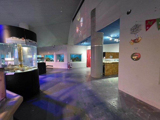 クリスマス・イブの朝の桂浜水族館（同館提供）