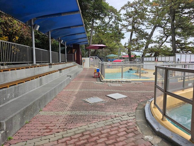 クリスマス・イブの朝の桂浜水族館（同館提供）