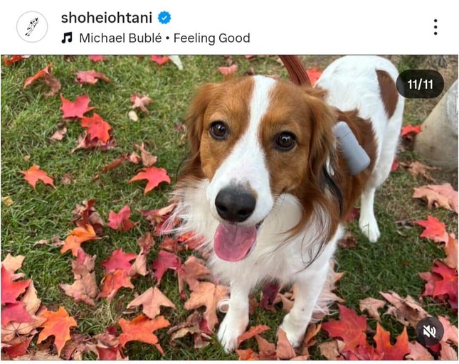 大谷翔平選手のインスタグラム（＠shoheiohtani）より