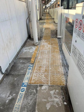 話題になった東急田園都市線・二子新地駅のホーム（目撃者提供）