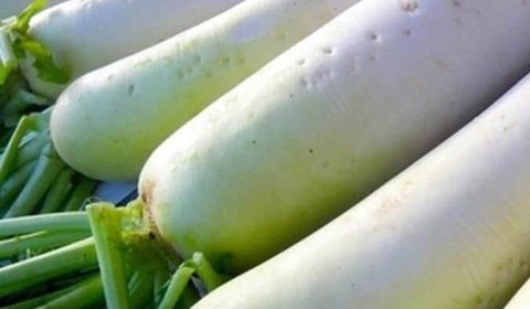 コメントにショック受けるチア学生も...　伝統の「大根踊り」でSNS投稿削除訴え、東京農大が明かした事情