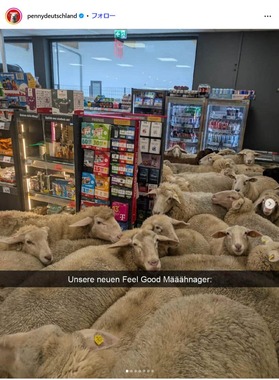 スーパーマーケット「ペニー」公式インスタグラム（＠pennydeutschland）より