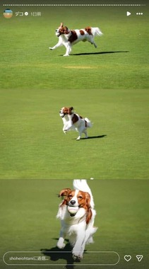 大谷翔平選手のインスタグラム（＠shoheiohtani）より