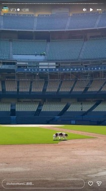 大谷翔平選手のインスタグラム（＠shoheiohtani）より