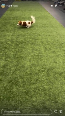 大谷翔平選手のインスタグラム（＠shoheiohtani）より