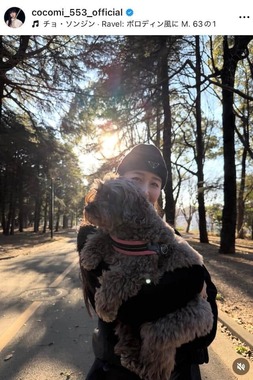 Cocomiさんのインスタグラム（＠cocomi_553_official）より