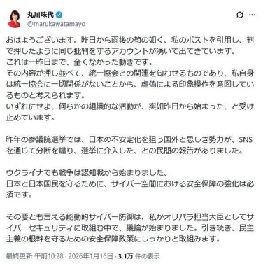丸川珠代氏の主張。「何らかの組織的な活動」を指摘している
