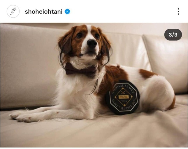 大谷翔平選手のインスタグラム（＠shoheiohtani）より