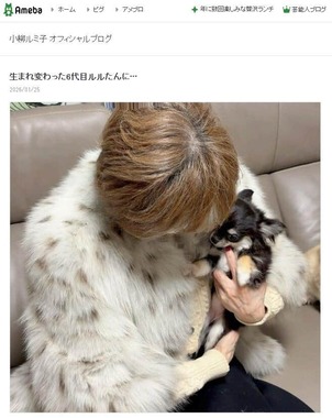 新しく迎えた子犬と小柳ルミ子さん。小柳さんが2026年1月25日に公開したブログエントリーより