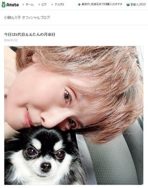 先代犬と小柳ルミ子さん。小柳さんが2026年1月22日に公開したブログエントリーより