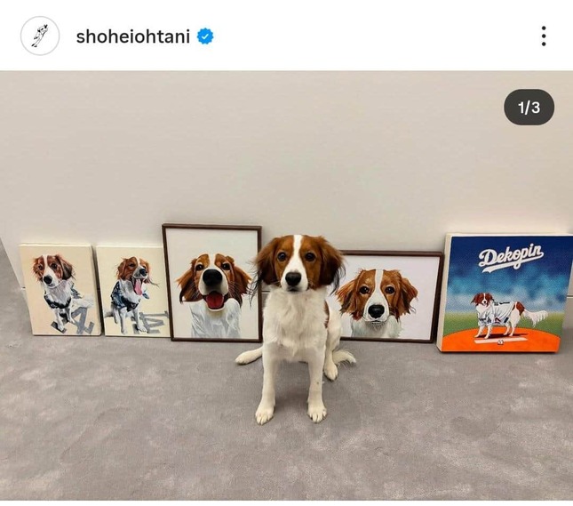 大谷翔平選手のインスタグラム（＠shoheiohtani）より