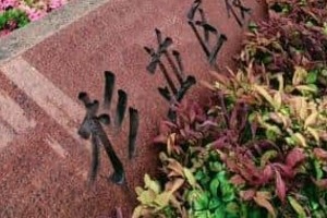 杉並区「投票用紙の誤交付」謝罪、名簿に名前ないのに「有効票」発生　対象は1人...なぜこんなことが起きたのか