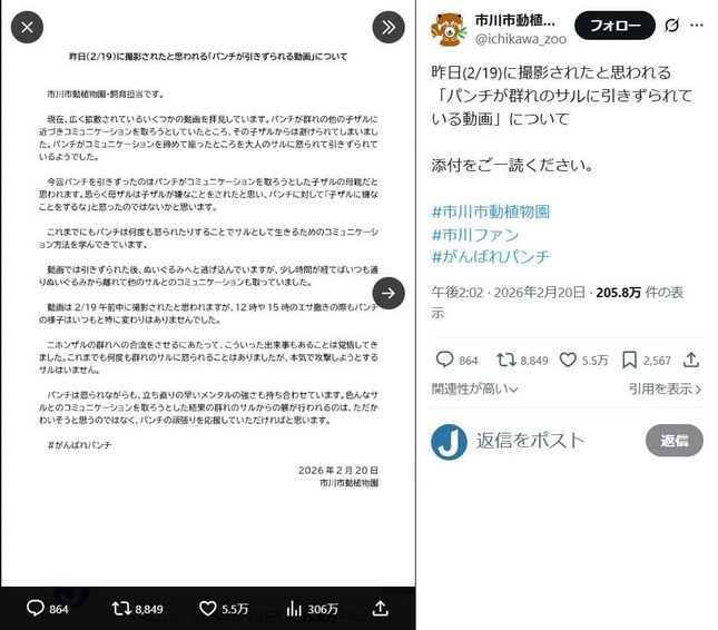 市川市動植物園のX（＠ichikawa_zoo）より