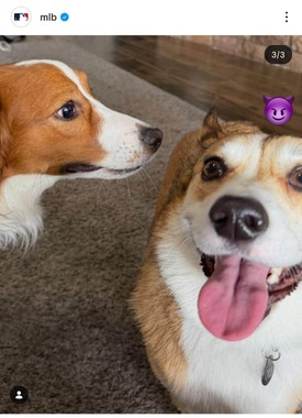 MLB公式インスタグラム（＠mlb）より