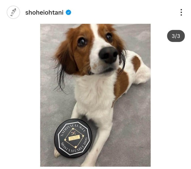 大谷翔平選手のインスタグラム（＠shoheiohtani）より