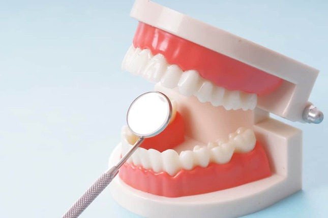 歯の治療は早めに行うのが重要だ（写真はイメージ）