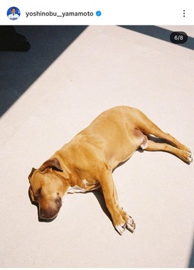 山本由伸投手のインスタグラム（＠yoshinobu__yamamoto）より