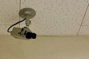 ホビーショップがプラモデル・ミニ4駆売場を閉鎖　「万引き被害があまりにも多すぎて」ユーザー困惑