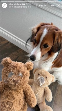 大谷翔平選手のインスタグラム（＠shoheiohtani）より