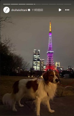大谷翔平選手のインスタグラム（＠shoheiohtani）より