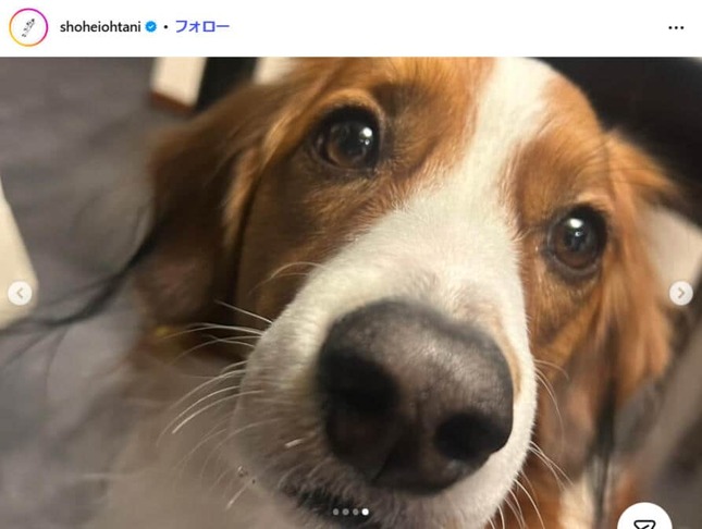 大谷翔平選手のインスタグラム（＠shoheiohtani）より