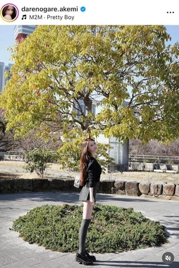ダレノガレ明美さんのインスタグラム（＠darenogare.akemi）より