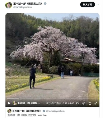 玉木代表がXに投稿した地元の桜。「桜が開花したのも国民民主党のせい」？
