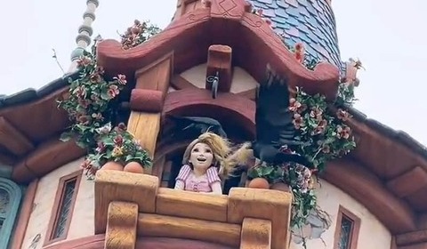 「歌ってる場合じゃない」ラプンツェルにとんだ災難　ディズニーシーで珍事、カラスの目的は