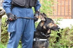 京都・南丹市の小6不明に新情報か...どうなる？自宅周辺で大掛かりな捜索の行方