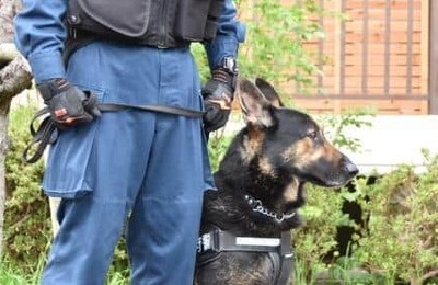 京都・南丹市の小6不明に新情報か...どうなる？自宅周辺で大掛かりな捜索の行方